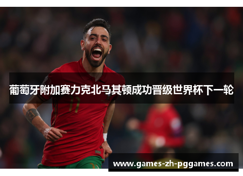 葡萄牙附加赛力克北马其顿成功晋级世界杯下一轮